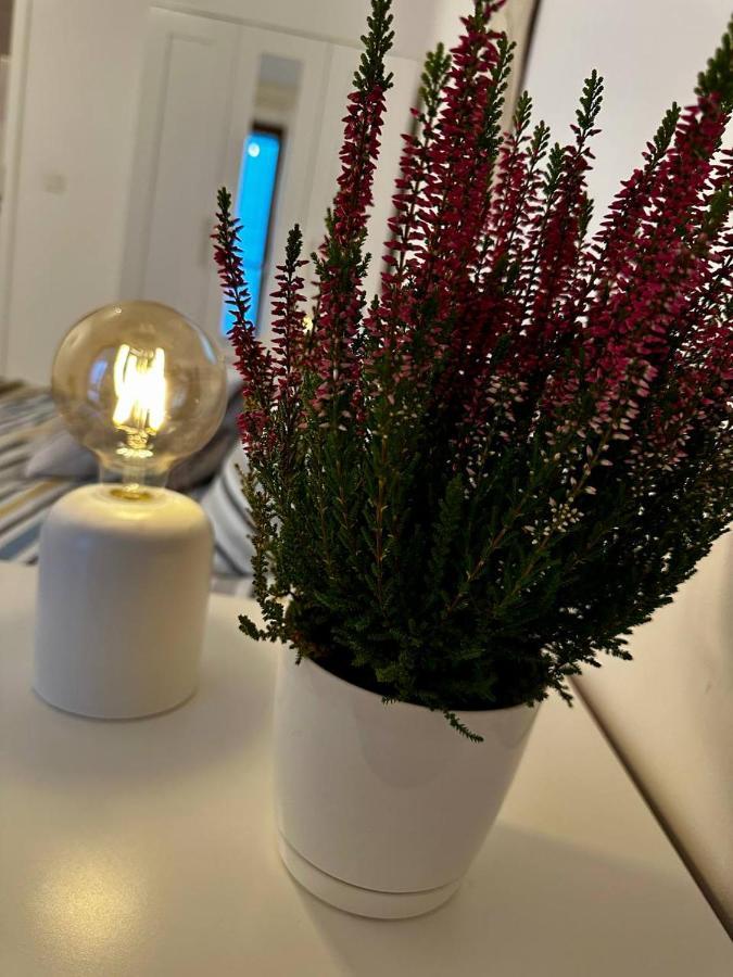 Apartament Centrum, Miejsce Parkingowe W Cenie Варшава Экстерьер фото